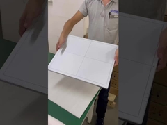 Detettore a pannello piatto 17*17
