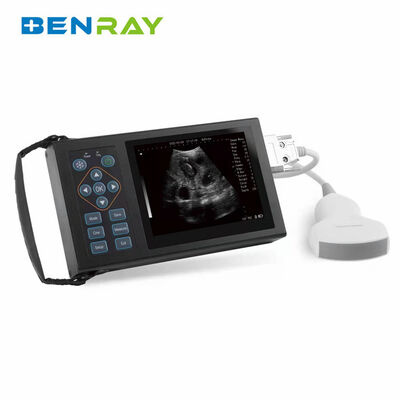 Handheld veterinary ultrasound scanner