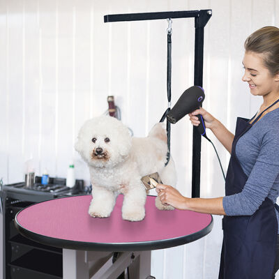 Vet Pet Grooming Table Pet Animal Beauty Grooming Station